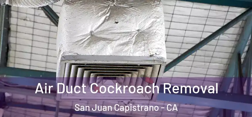 Air Duct Cockroach Removal San Juan Capistrano - CA