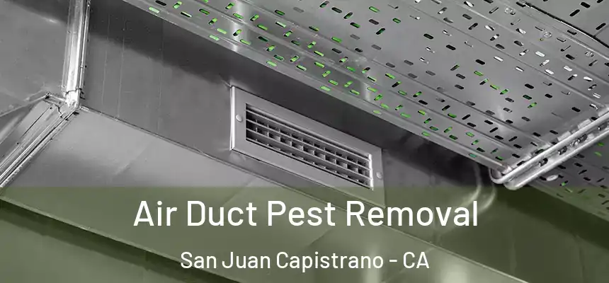 Air Duct Pest Removal San Juan Capistrano - CA