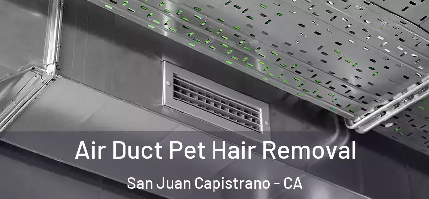  Air Duct Pet Hair Removal San Juan Capistrano - CA