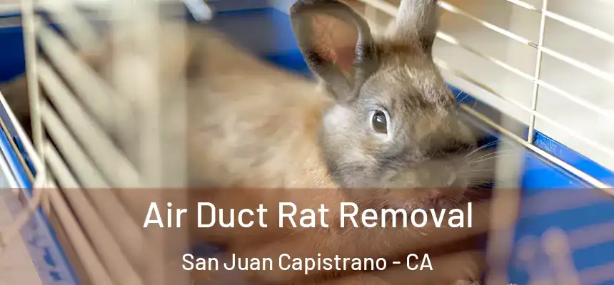 Air Duct Rat Removal San Juan Capistrano - CA