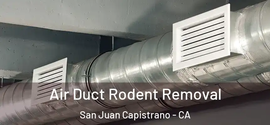  Air Duct Rodent Removal San Juan Capistrano - CA