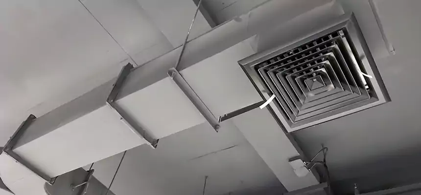 Restorative Allergy Relief Vent Cleaning – Coil, Blower & Housing Detail in San Juan Capistrano