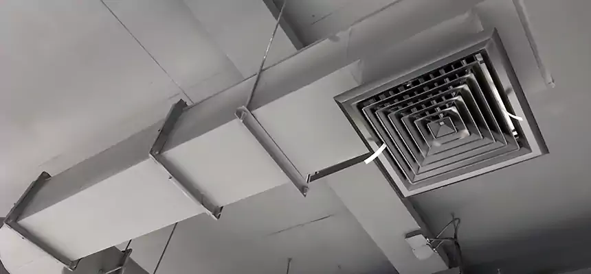 Our Pest Removal From Ducts Services in San Juan Capistrano, CA