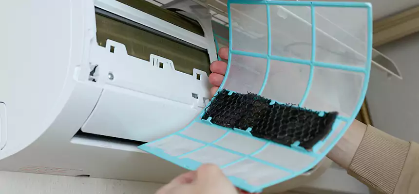 Gentle Ductwork Odor-Control Pet Dander Duct Cleaning in San Juan Capistrano, CA