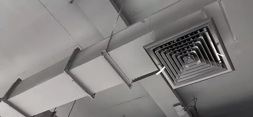 Our Rodent Droppings In Vents Services in San Juan Capistrano, CA