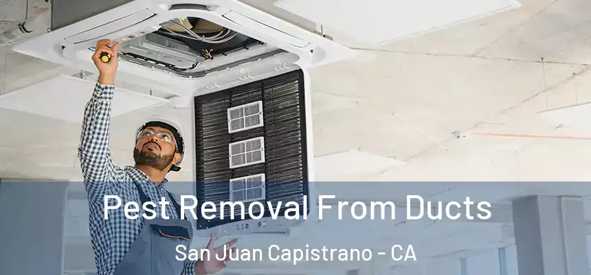 Pest Removal From Ducts San Juan Capistrano - CA
