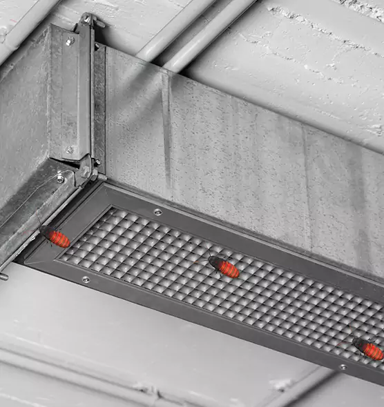 Affordable Insect Removal from Air Ducts in San Juan Capistrano, CA