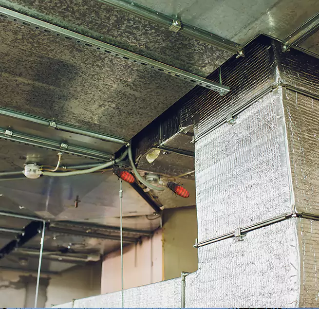 Why Homeowners & Businesses Trust Us in San Juan Capistrano, CA?