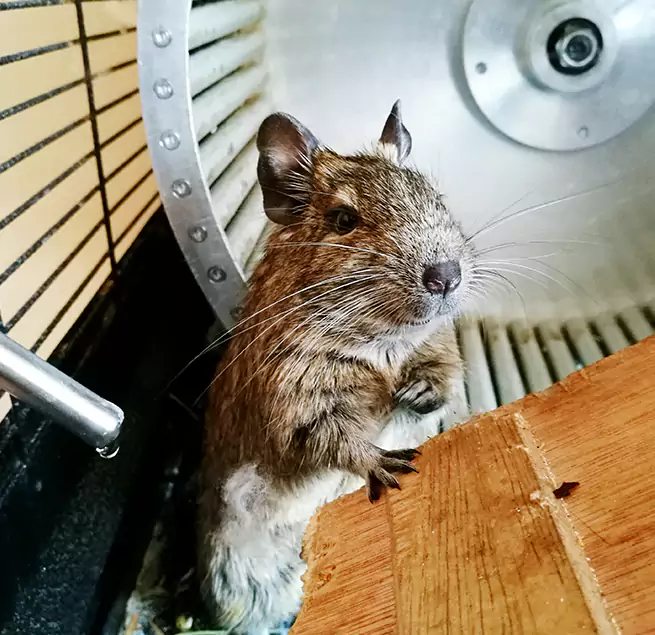 Why Homeowners & Businesses Trust Us San Juan Capistrano, CA