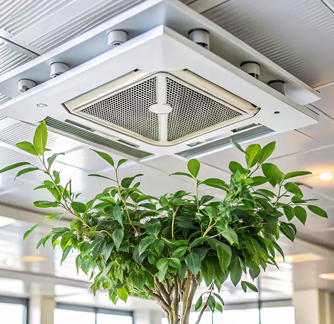 Why Homeowners & Businesses Trust Us in San Juan Capistrano, CA?