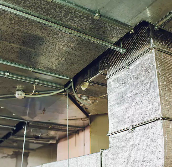 Why Homeowners & Businesses Trust Us in San Juan Capistrano, CA?